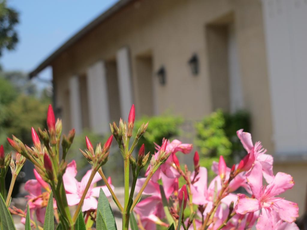 Les Communs Du Manoir Διαμέρισμα Écully Δωμάτιο φωτογραφία