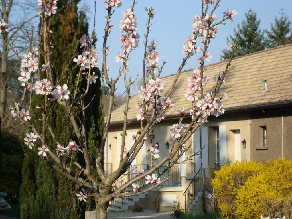 Les Communs Du Manoir Διαμέρισμα Écully Εξωτερικό φωτογραφία